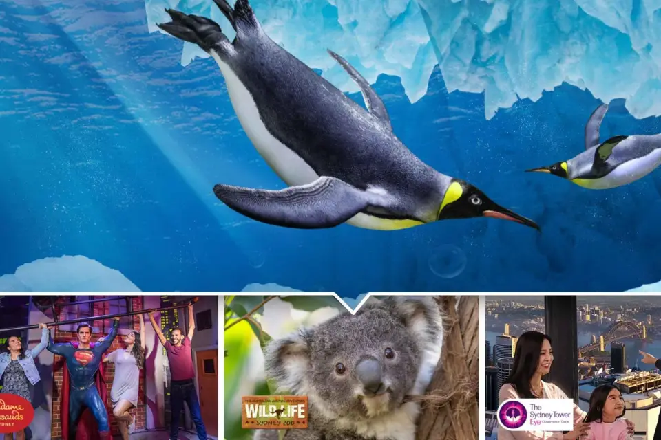 Pase Ultimate Sydney Attractions con Sydney Tower Skywalk