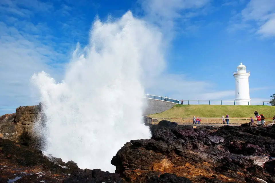 Recorrido panorámico por Kiama y la Costa Sur desde Sídney: Privado