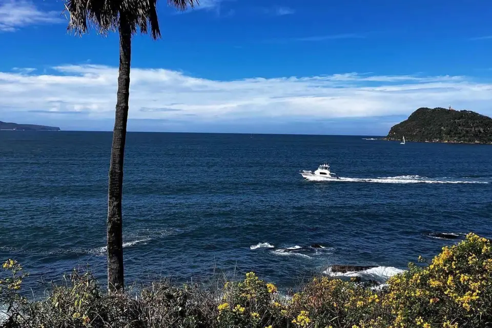 Serenas vistas de Sydney y delicias culinarias
