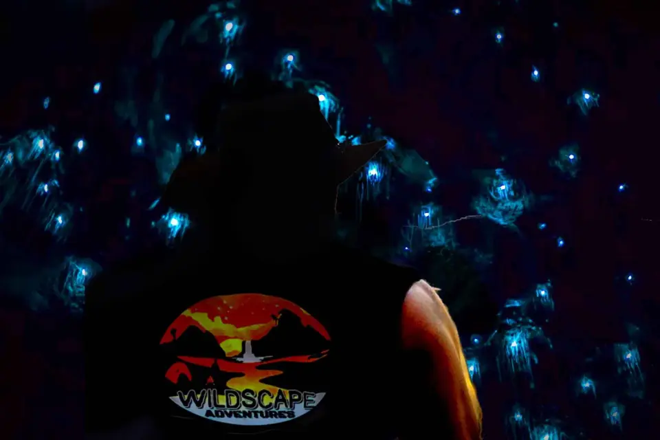 Sydney Aventura Salvaje Nocturna de los Gusanos Luminosos de las Montañas Azules