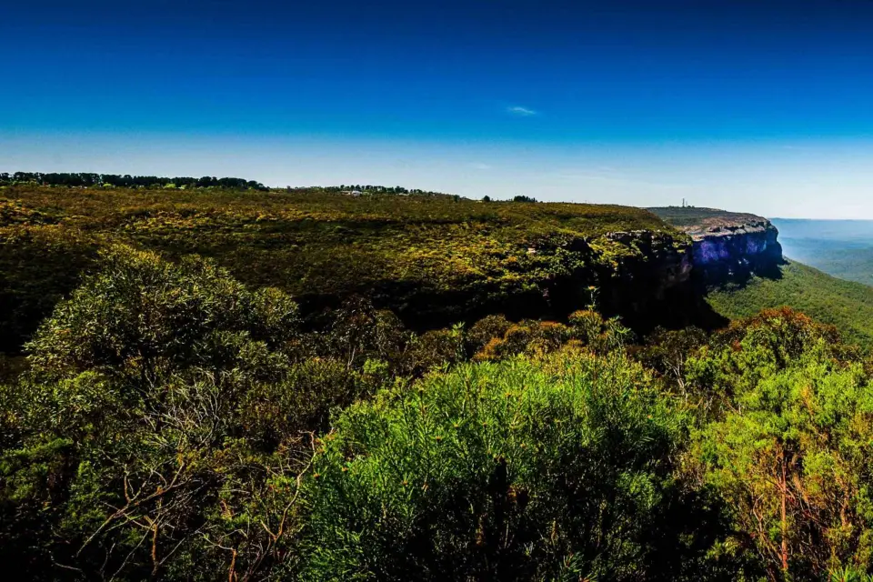 Desde Sydney: Excursión en grupo reducido a las Montañas Azules Picnic y Senderismo