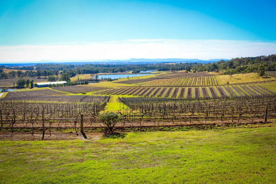 Desde Sydney: Excursión Privada de un Día a la Cata de Vinos del Valle Hunter