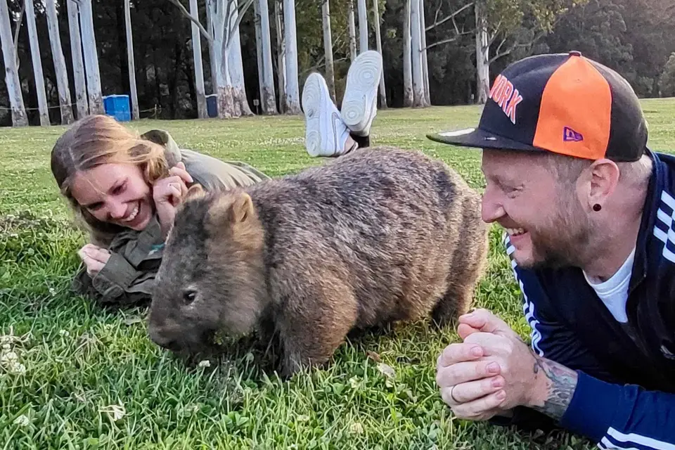 Sydney Experiencia con Wombats y Canguros Salvajes