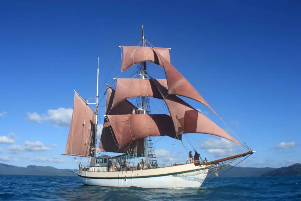 Sydney Observación de ballenas y navegación en grandes barcos por el puerto de Sídney