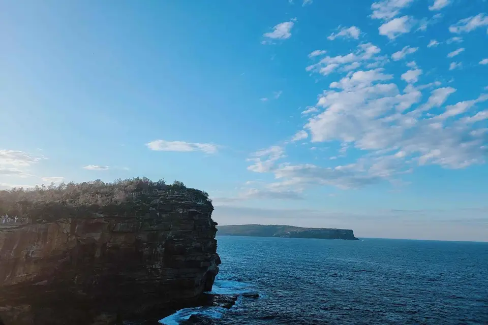 Tour por la Costa Este de Sídney (Privado)