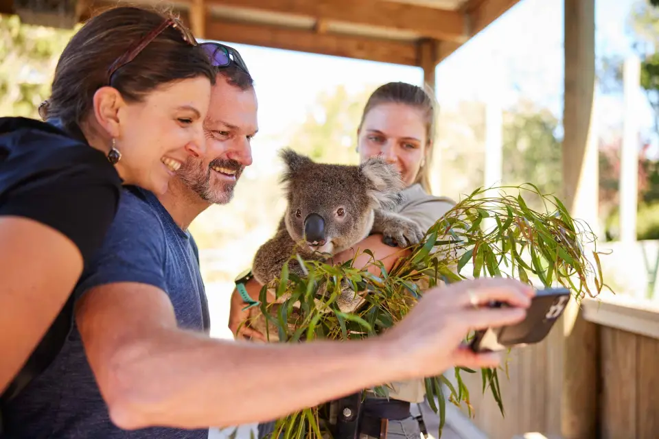 Sidney Tour Privado de la Fauna, las Cascadas y el Vino