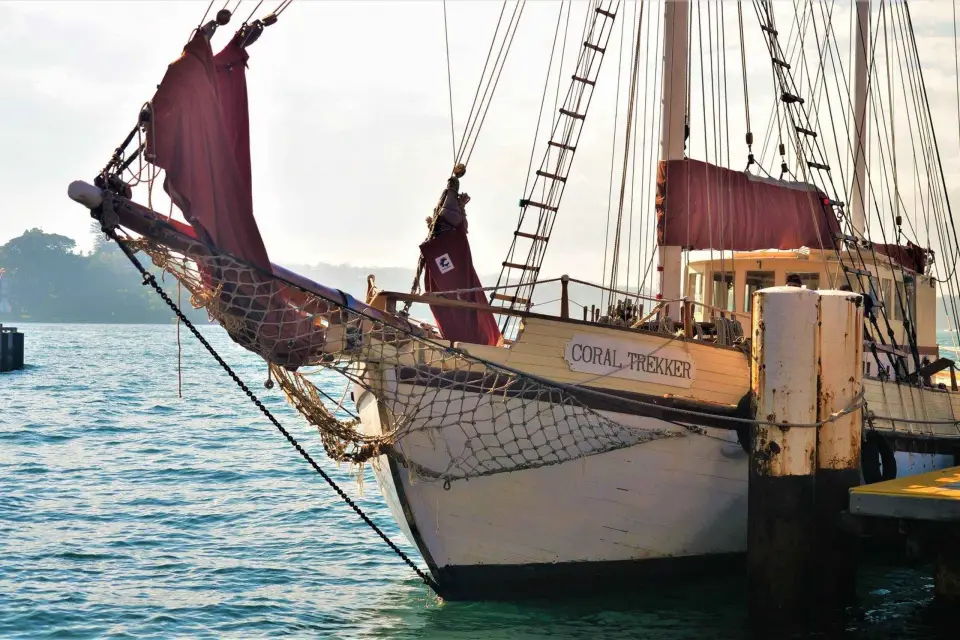 Grandes Veleros del Puerto de Sídney: Crucero nocturno por el puerto