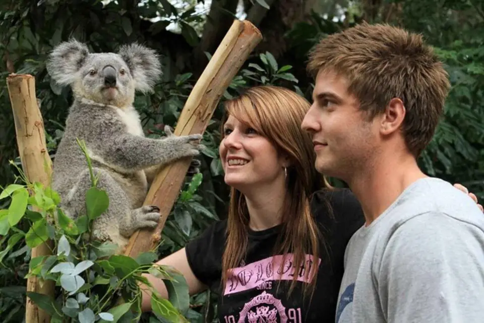Visita panorámica PRIVADA del Zoo de Featherdale en las Montañas Azules