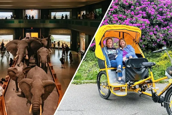 Tour en Pedicab por Central Park con entradas opcionales de historia natural