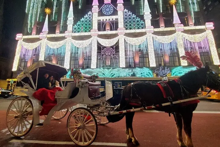 Paseo privado en carruaje de caballos con luces navideñas en la ciudad de Nueva York