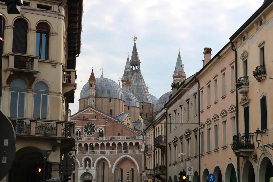 Desde Venecia: Excursión de un día a Padua con Visita Guiada Privada