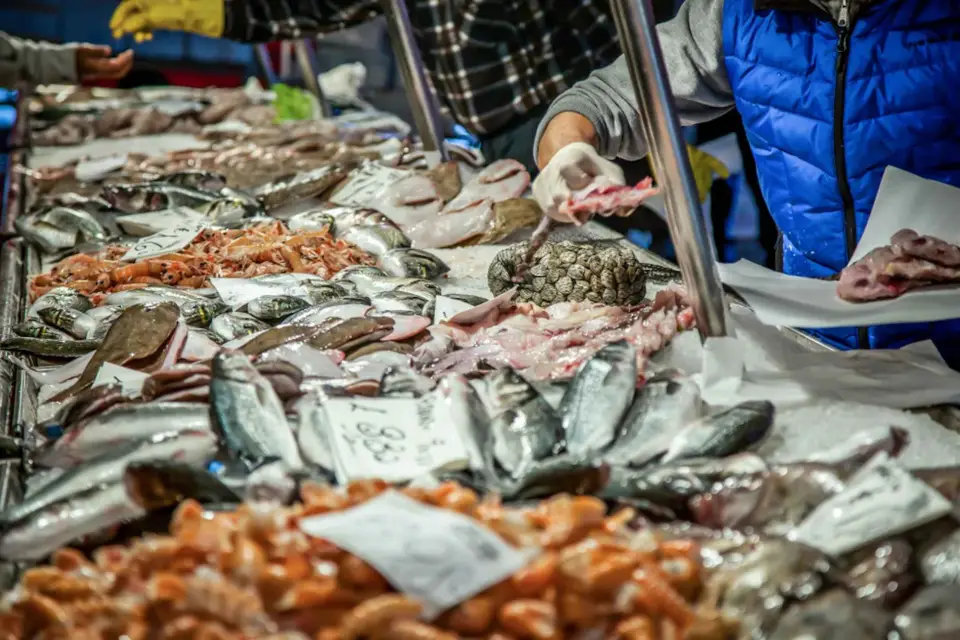 Venecia: Mercato di Rialto y Experiencia Cicchetti