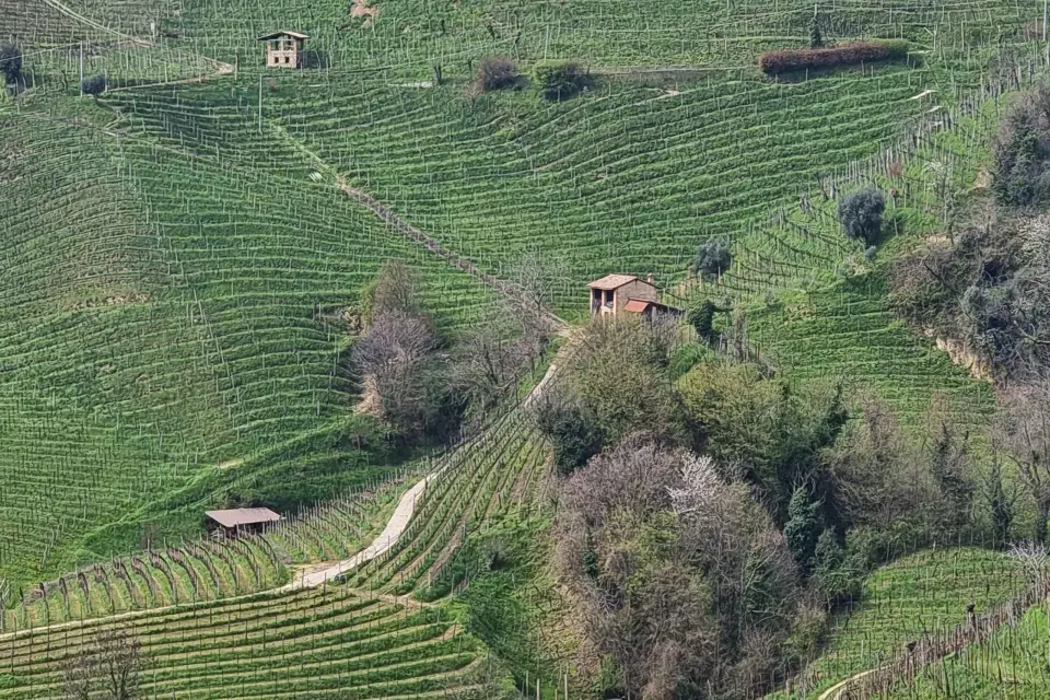 venecia : ¡¡Tour por las Colinas del Prosecco con degustación y vino!!