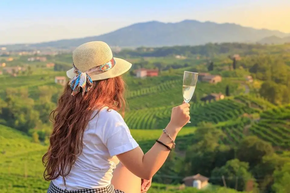 Desde Venecia :Tour enogastronómico por las Colinas del Prosecco
