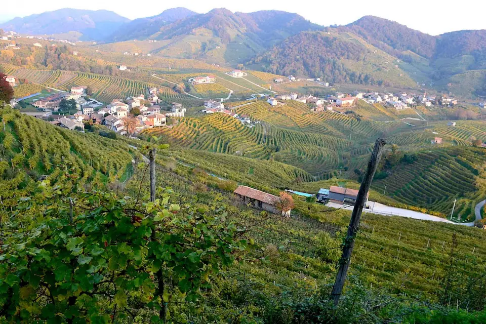 Tour Privado de 7 Horas del Vino Prosecco desde Venecia