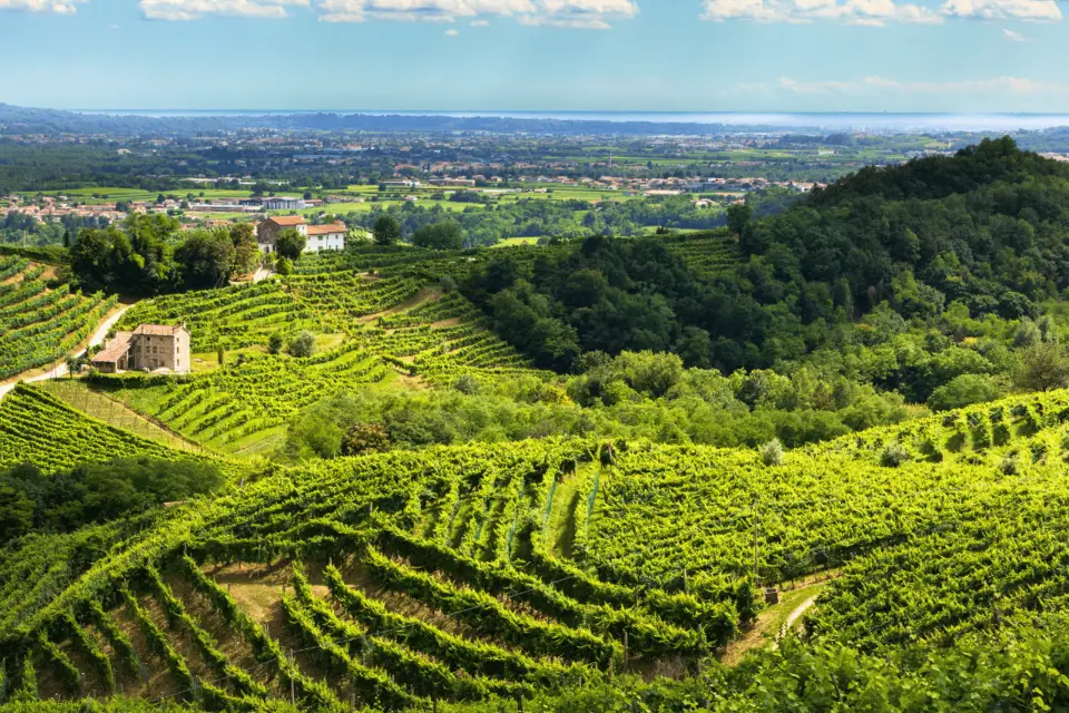 Valdobbiadene - Colinas del Prosecco en bici con sommelier