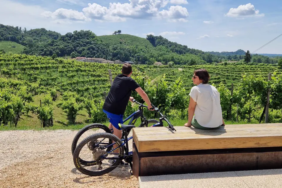 Valdobbiadene: Tour guidato in E-Bike nelle colline del Prosecco