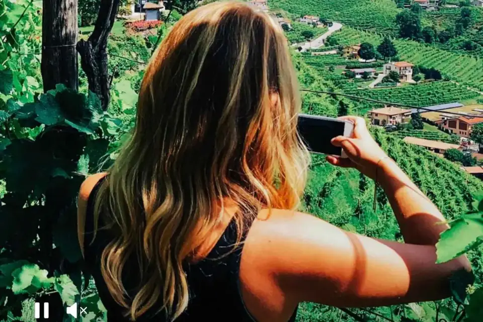 Venecia: Visita a las Bodegas de las Colinas del Prosecco con degustación y almuerzo