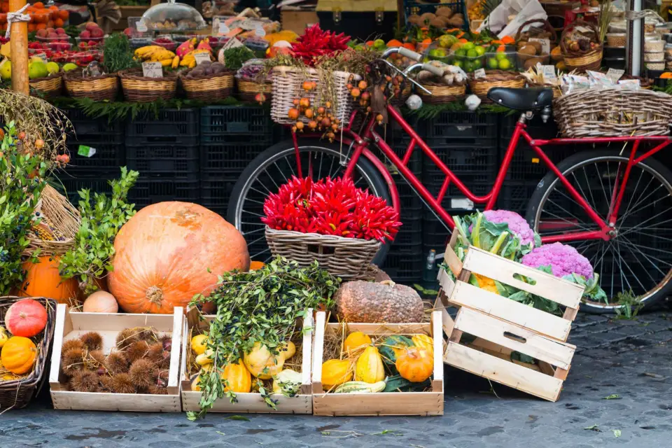 Venecia: Visita al mercado y comida en casa de un lugareño